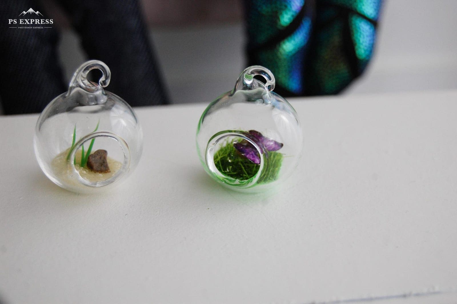Terrarium miniature