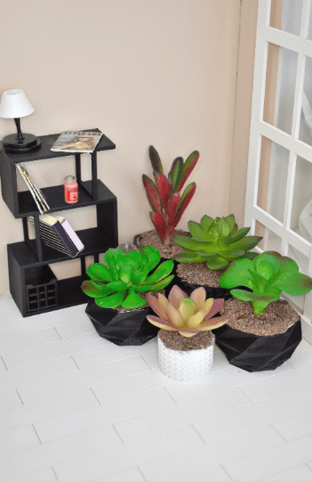 Plantes miniature 1/6 1/4