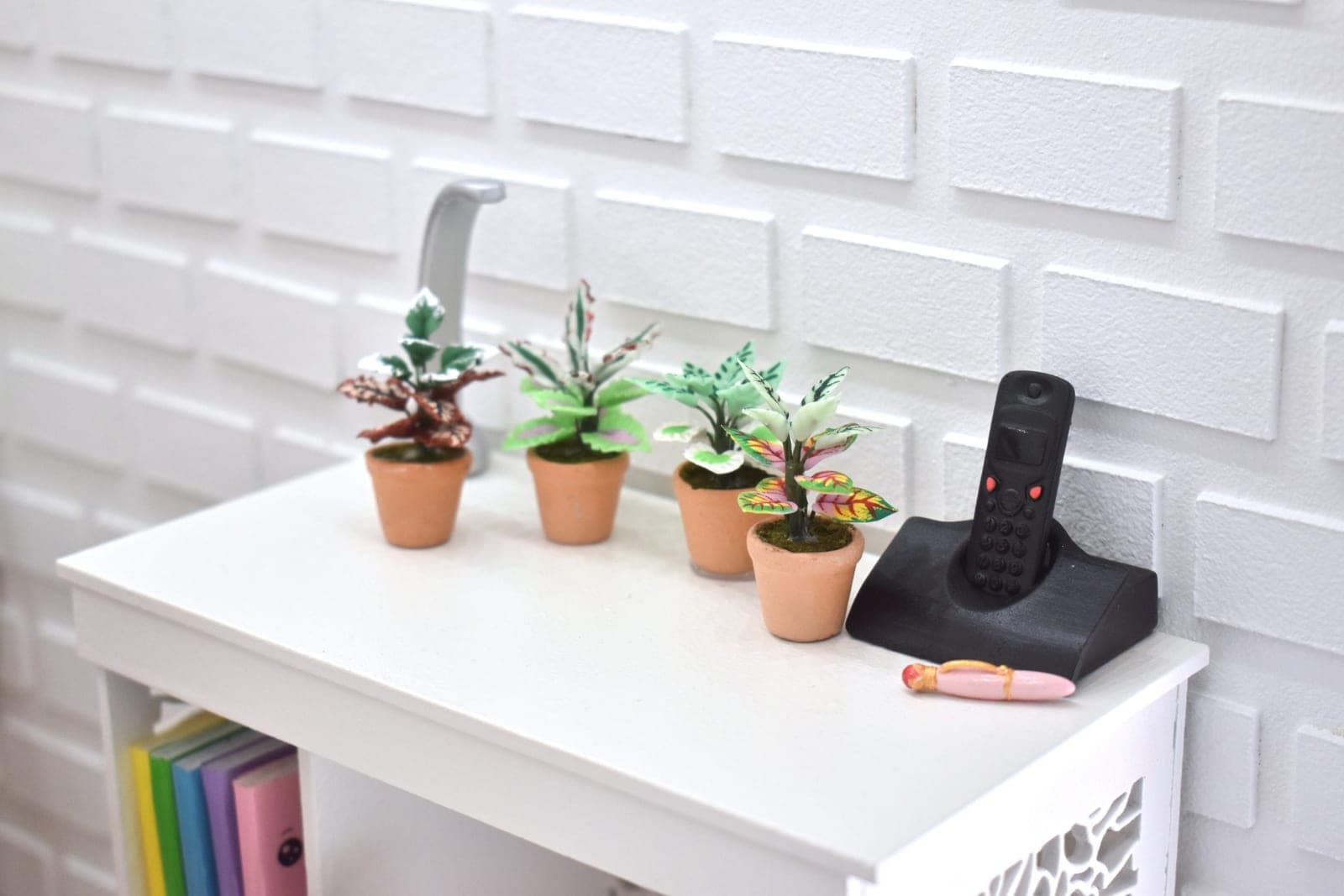 plantes miniature