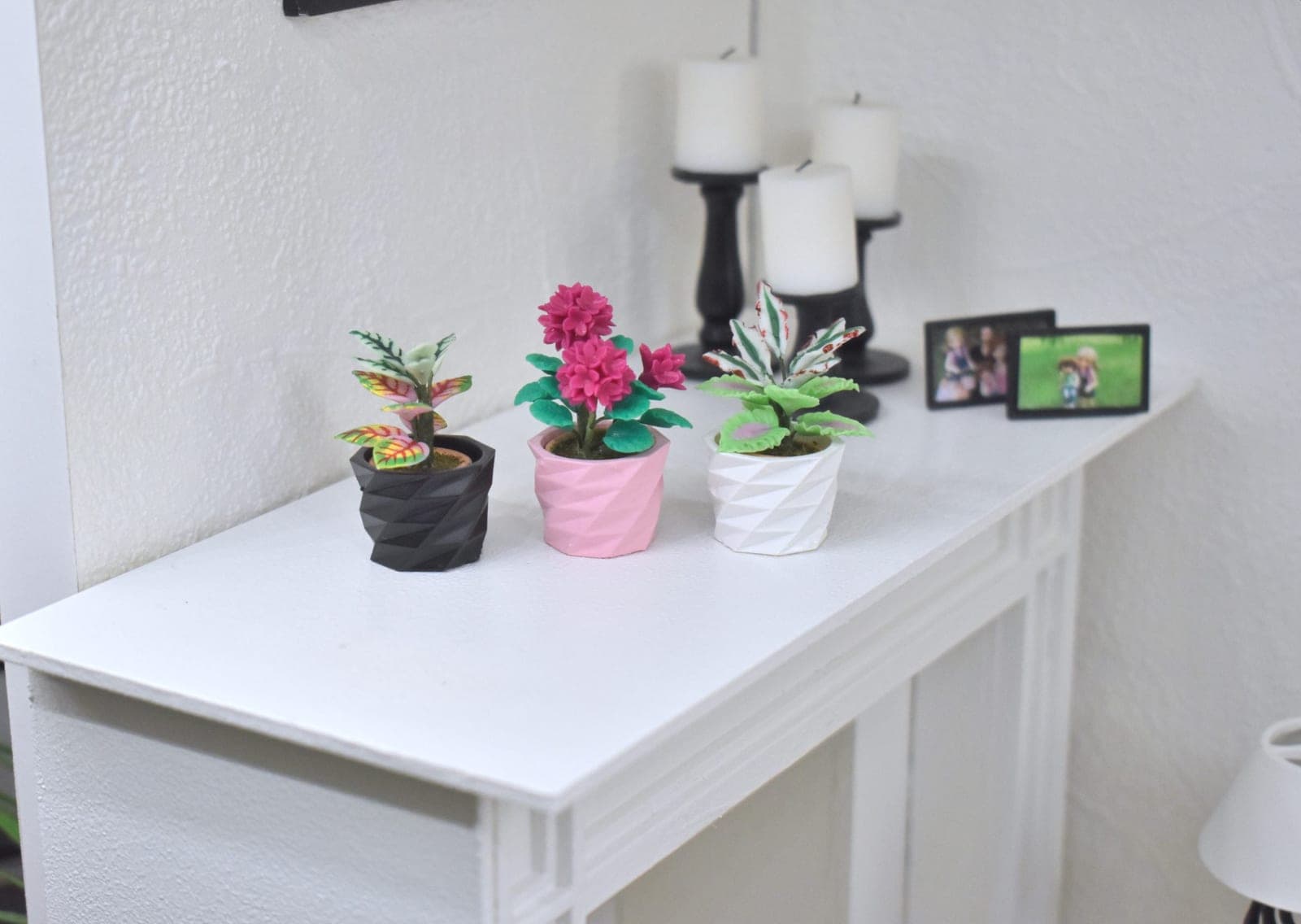 Cache pot plante miniature