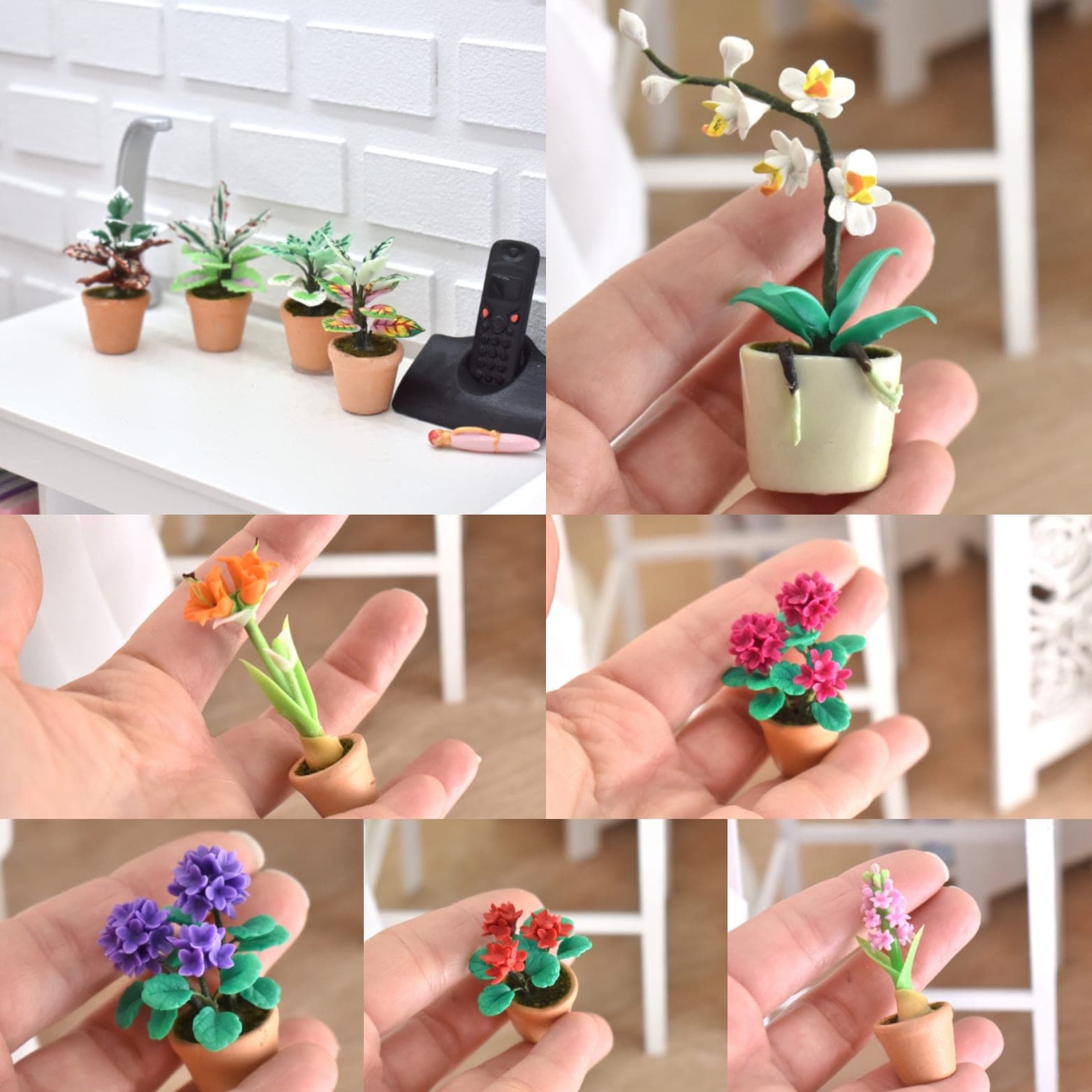 Miniature plants