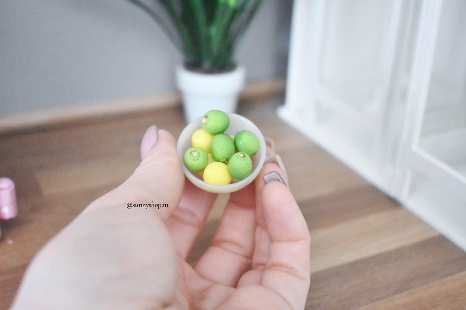 Lot de citron miniature minifee ,MSD