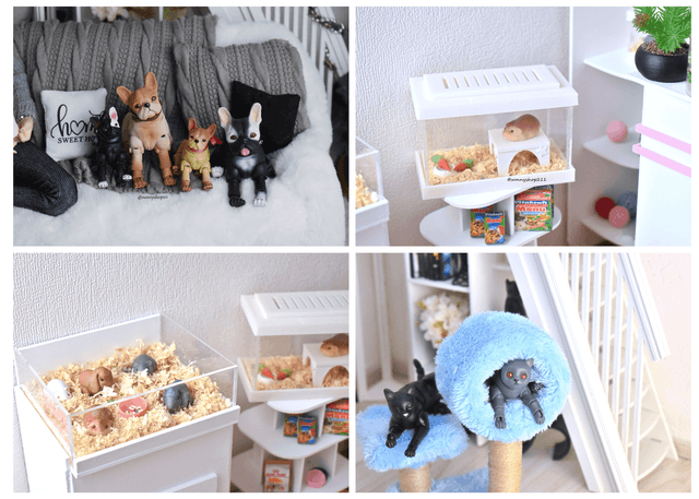 Animals