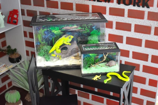 🔹 Reptiles & NAC