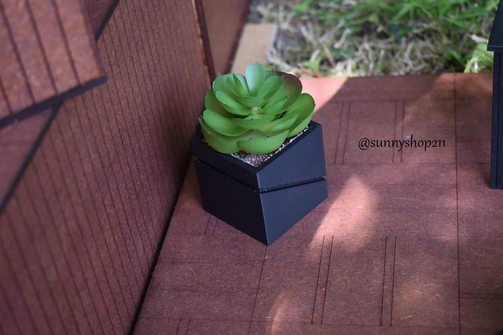 Plante grasse miniature verte – Pot carré noir – 1/6 · 1/4