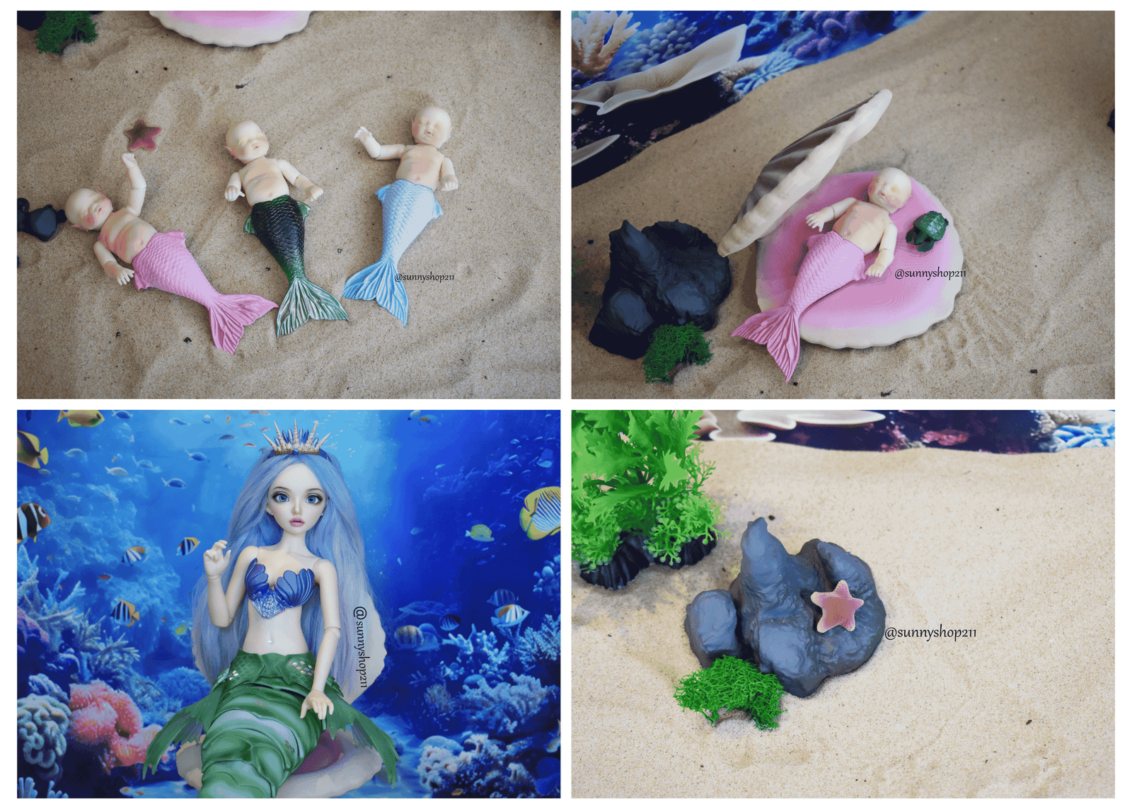 Underwater Universe