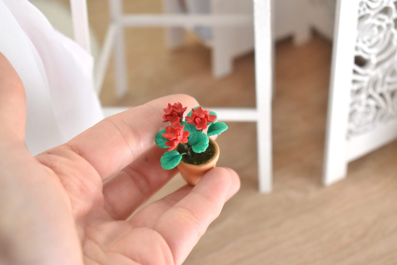 plantes miniature