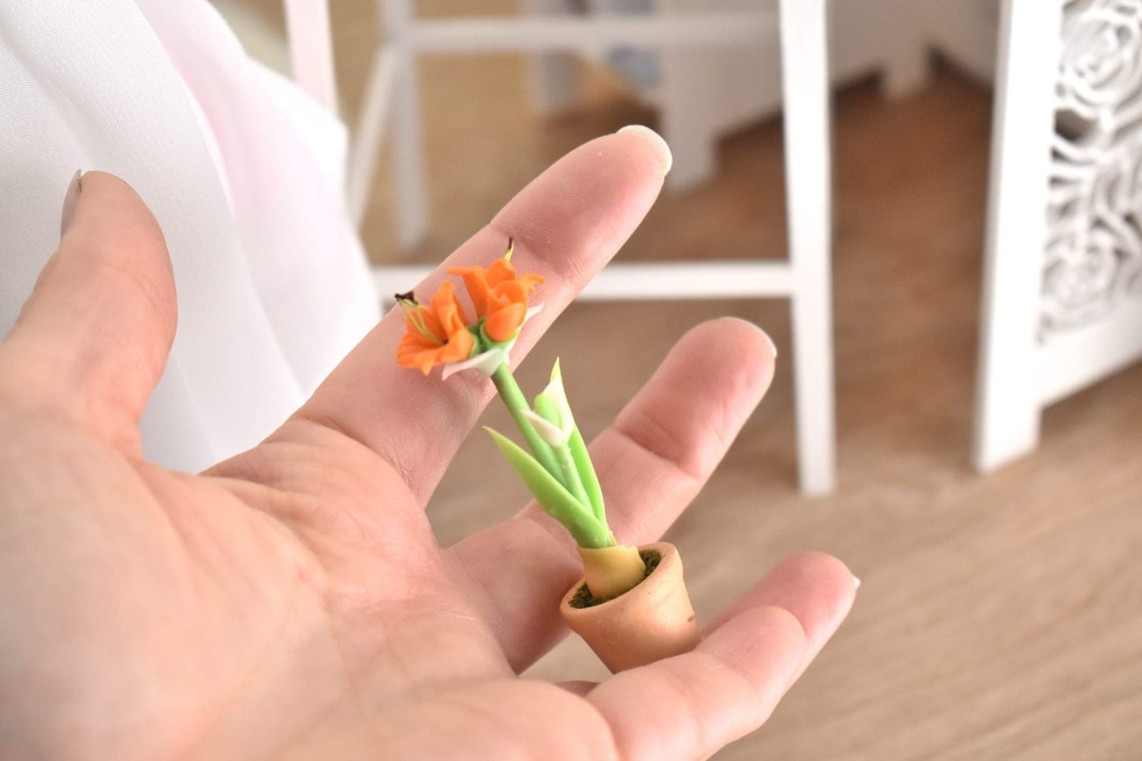 plantes miniature