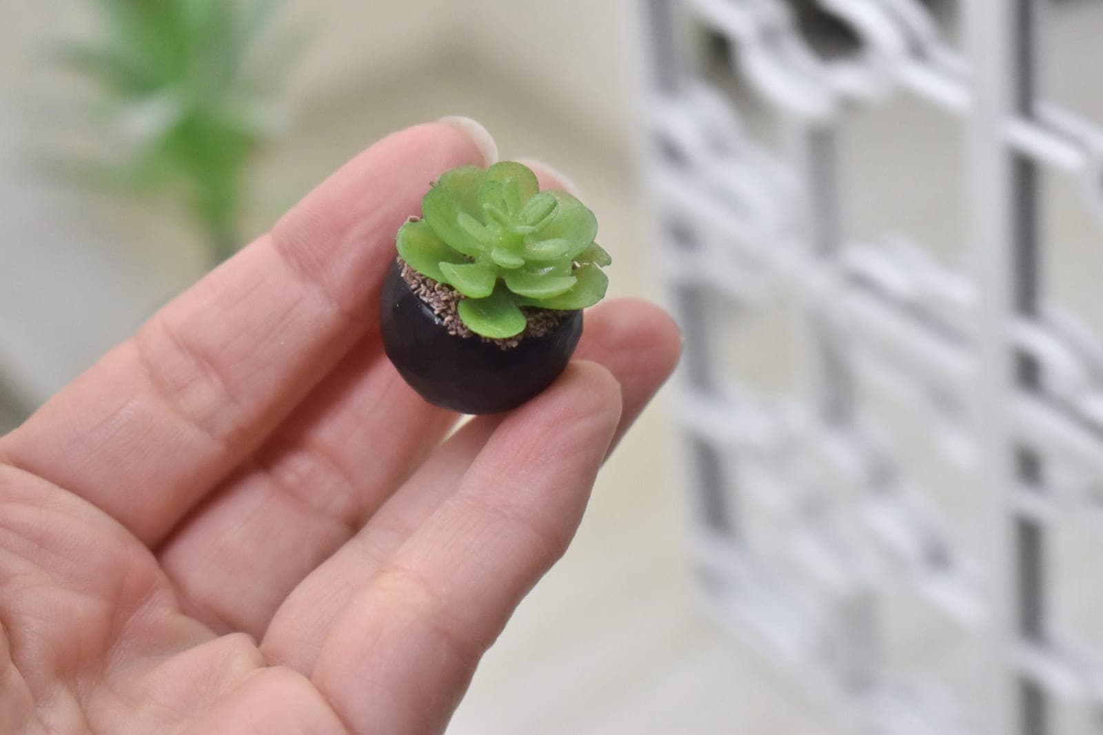 Plante miniature 1/6 1/4