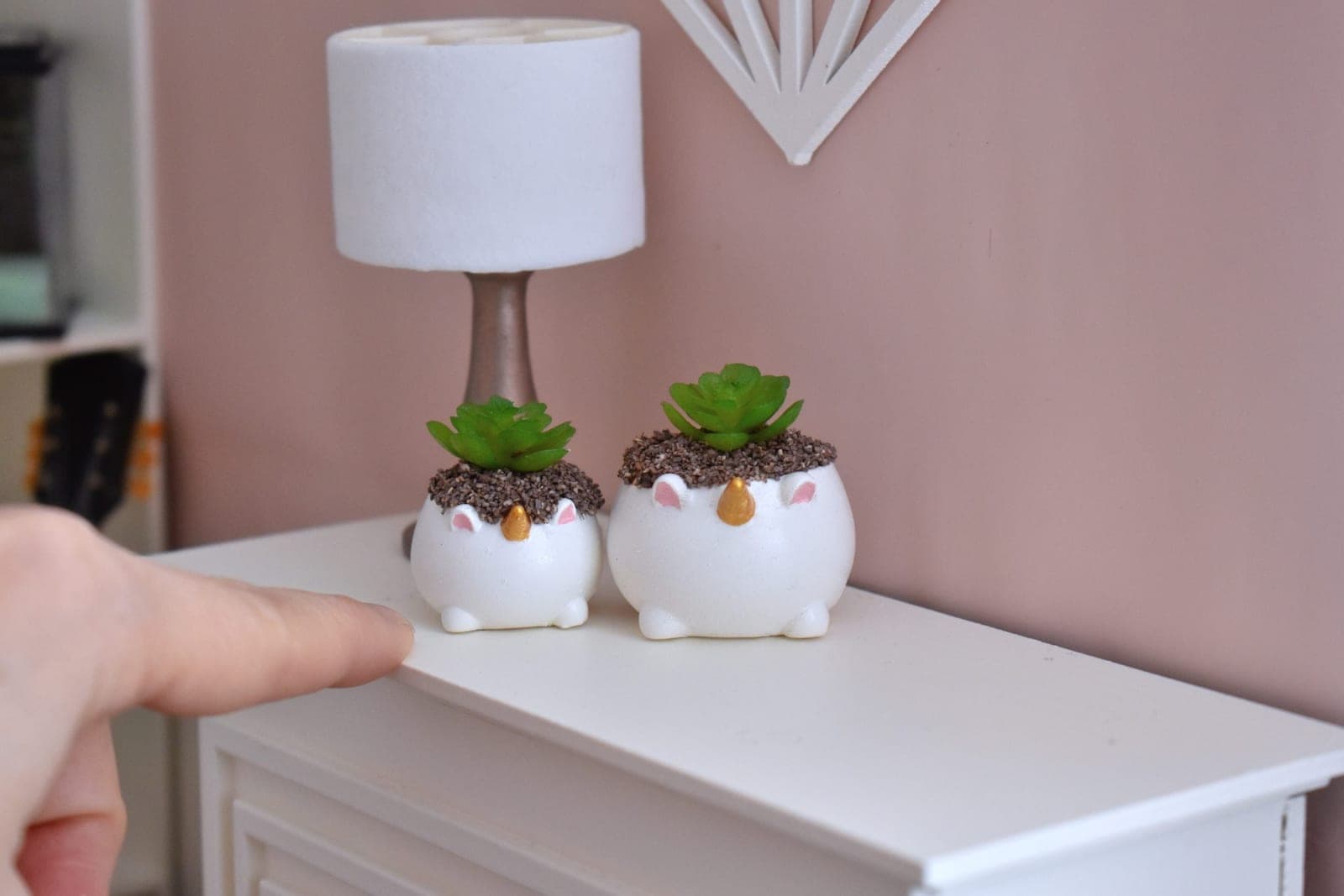 Plante licorne miniature