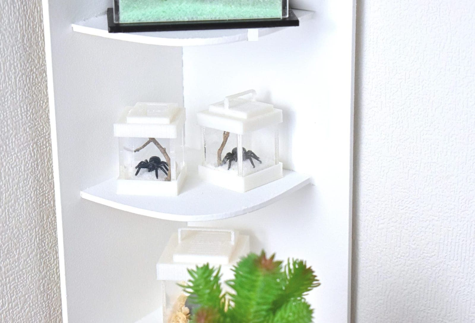 Mini terrarium araignée 1/6, 1/4