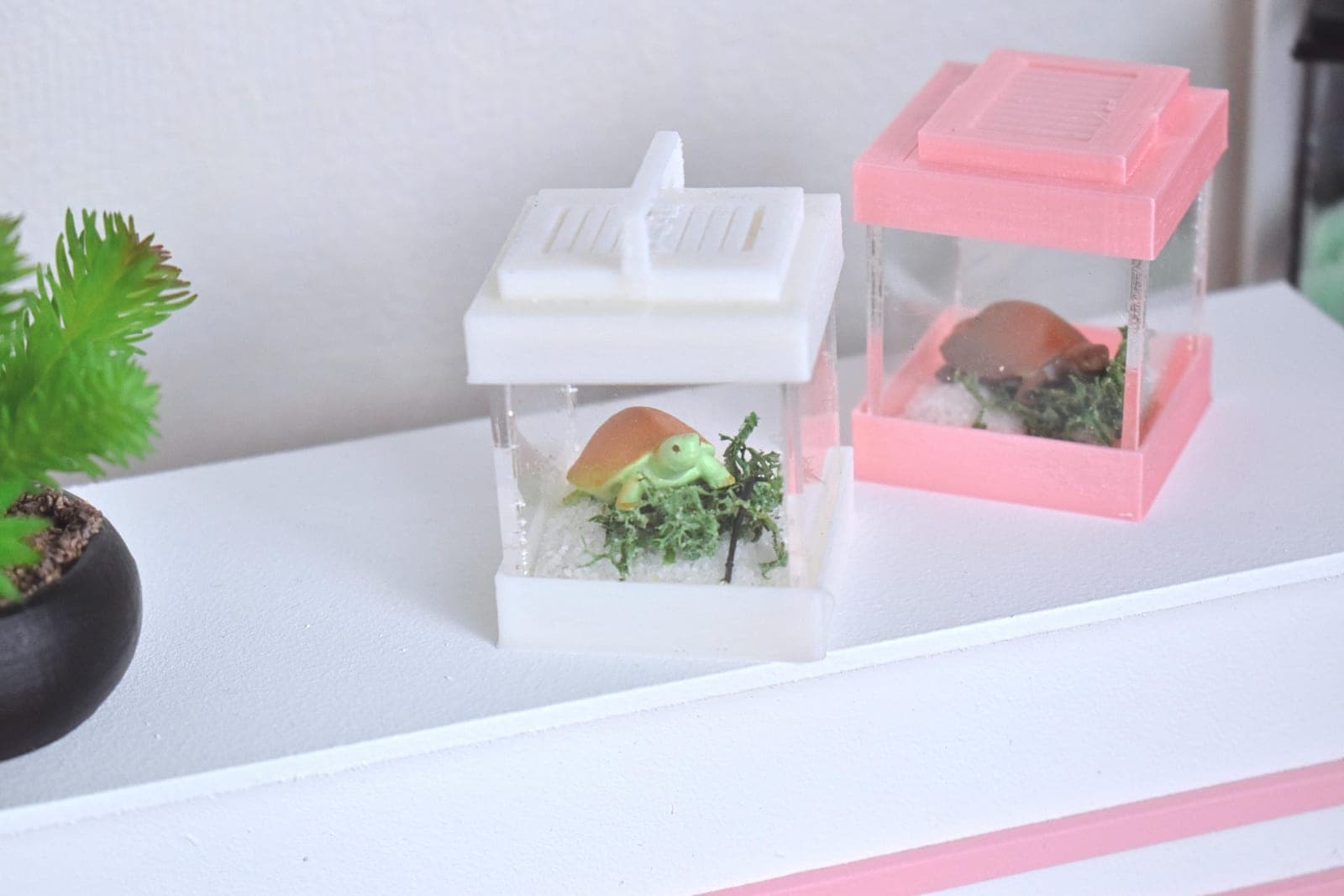 Mini terrarium 1/6 1/4