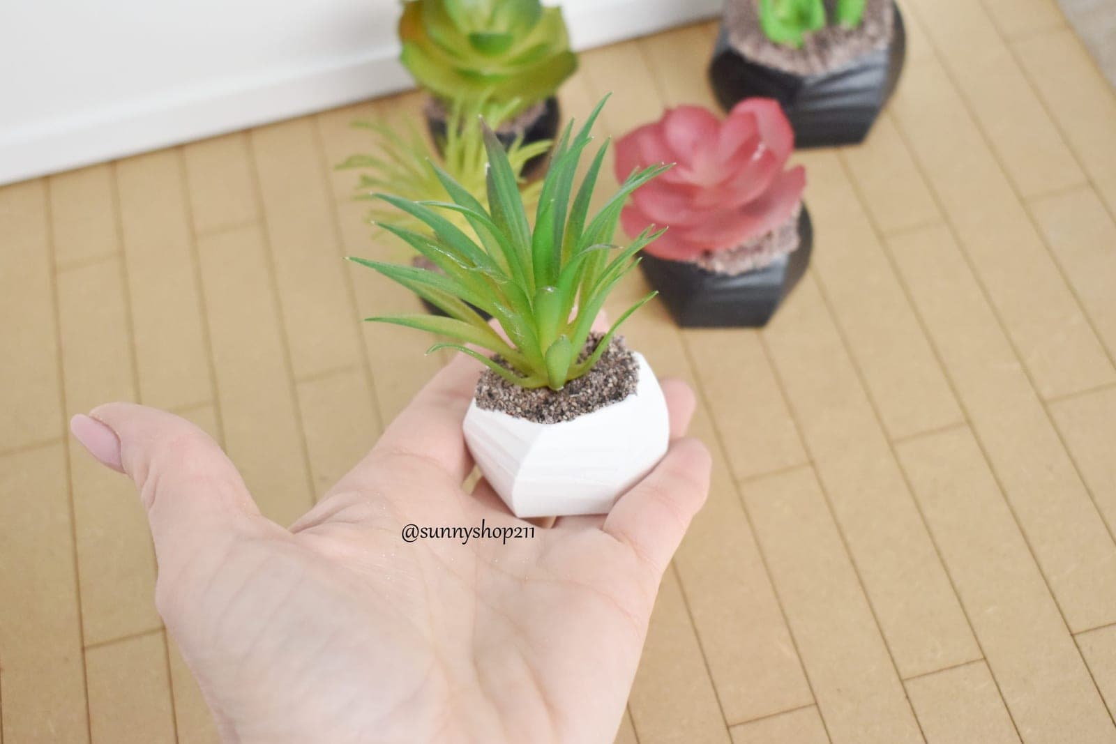 Plante miniature simulation