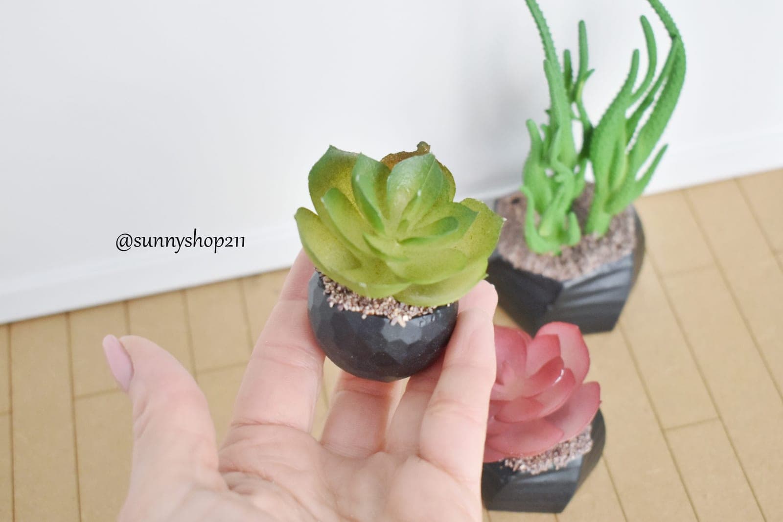 Plante grasse miniature 1/6 1/4 Barbie, Pullip, BJD, Minifee, MSD