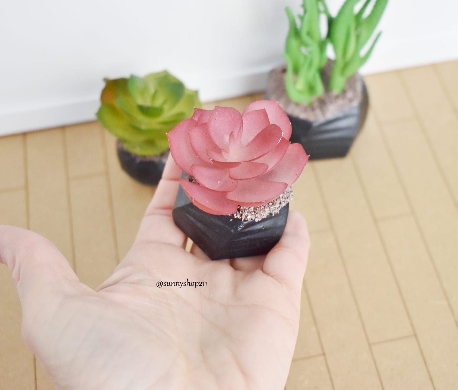 Plante grasse rouge miniature 1/6 1/4 Barbie, Pullip, BJD, Minifee, MSD