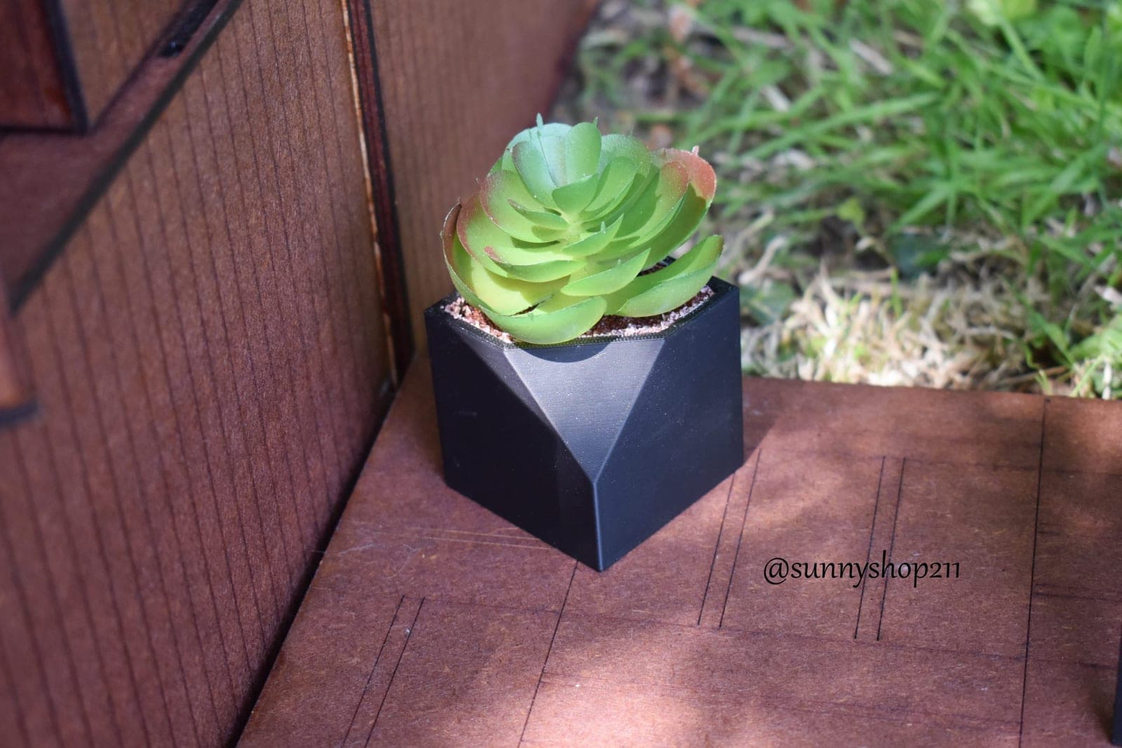 Plante grasse miniature verte – Pot géométrique noir – 1/6 · 1/4