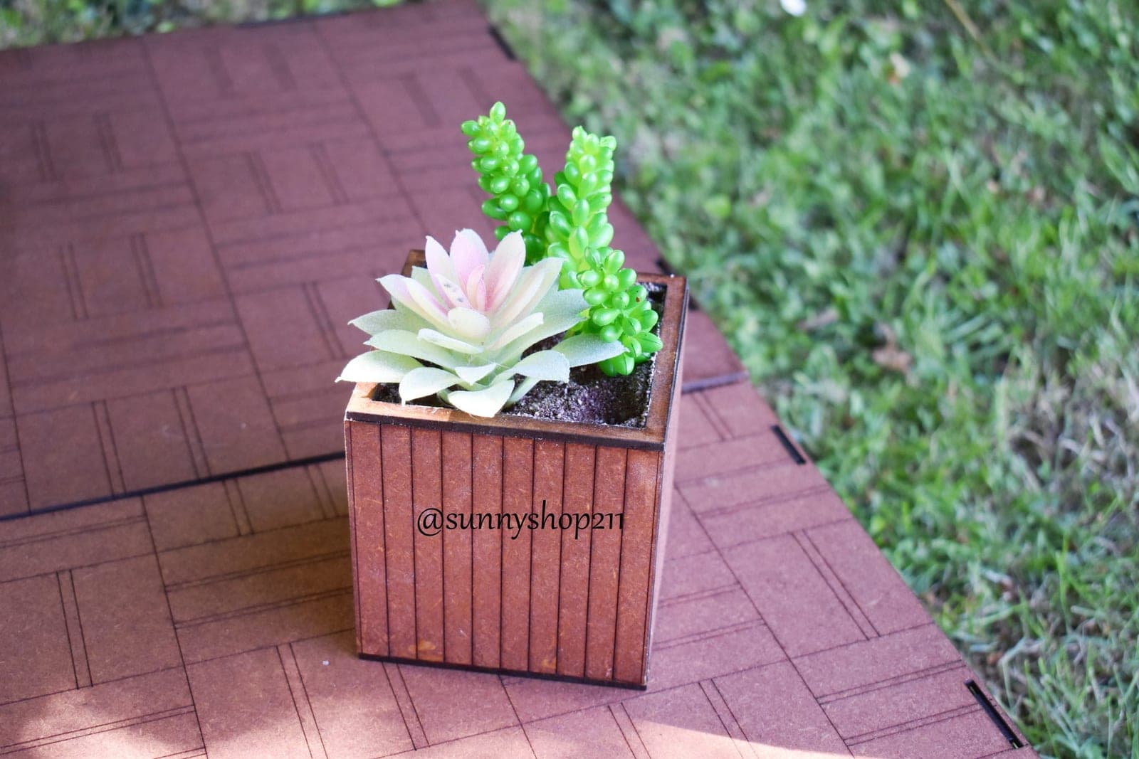 Bac de plantes miniatures – 1/6 · 1/4
