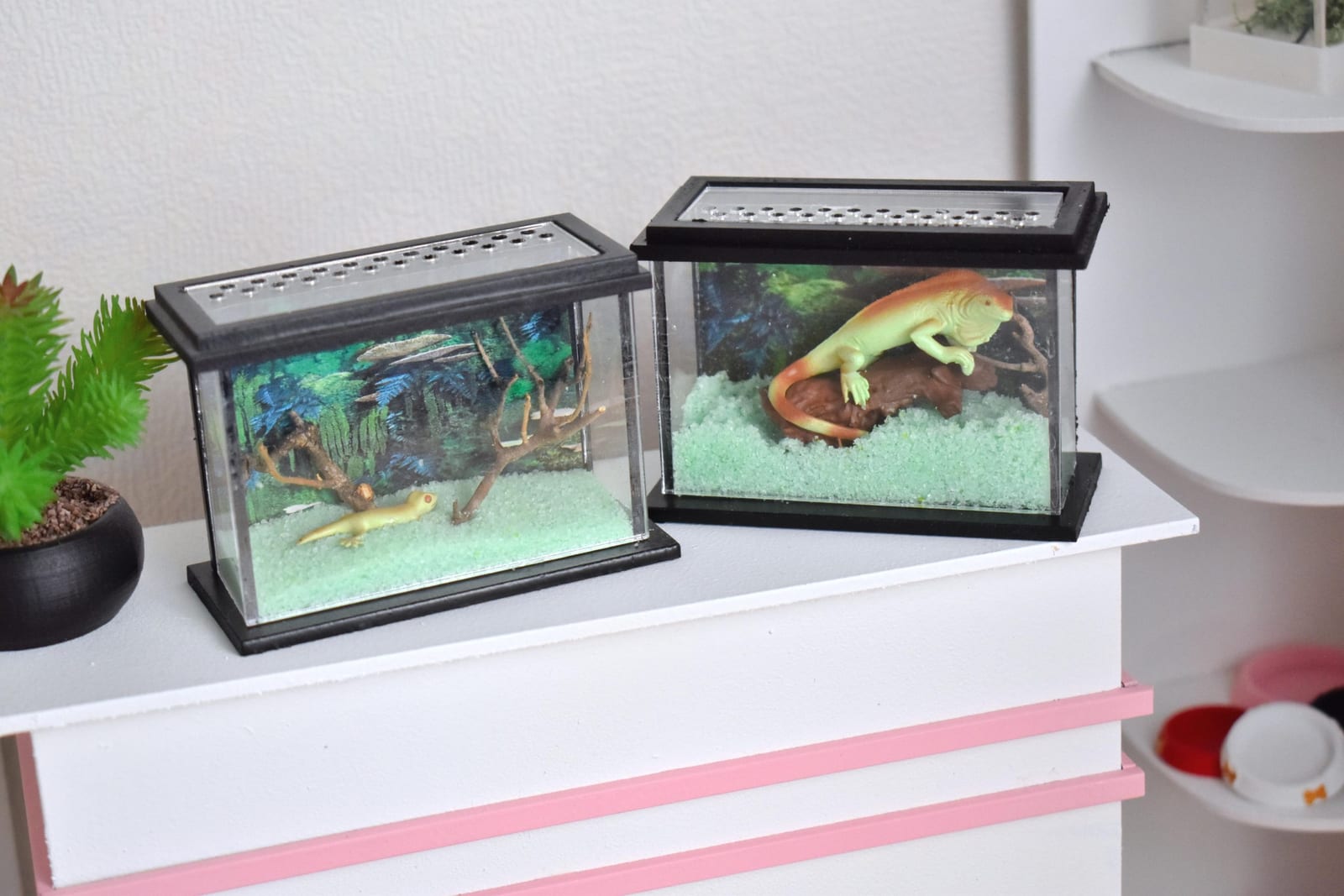 Terrarium miniature