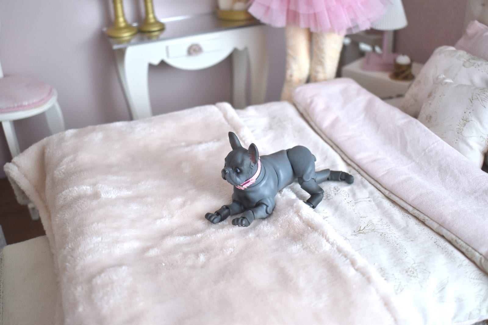 bjd bouledogue miniature