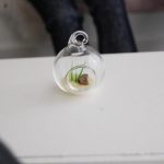 Terrarium miniature