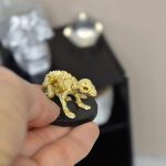 Squelette rat miniature