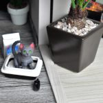 Set litière pour chat miniature