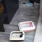 Set litière pour chat miniature