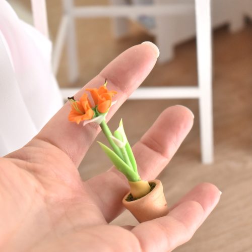 plantes miniature