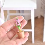 Jacinthe miniature