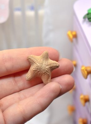 Etoile mer décoration miniature