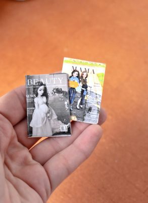 lot magazine miniature minifee