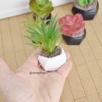 Plante miniature simulation