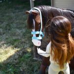 Licol pour cheval OOAK 1/4 MSD, minifee