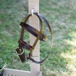 Filet pour cheval OOAK 1/4 MSD, minifee