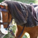 Filet pour cheval OOAK 1/4 MSD, minifee