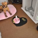 Gamelle pour bjd Bruce simulation miniature
