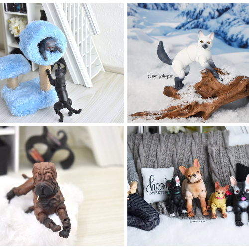 Animaux et accessoires