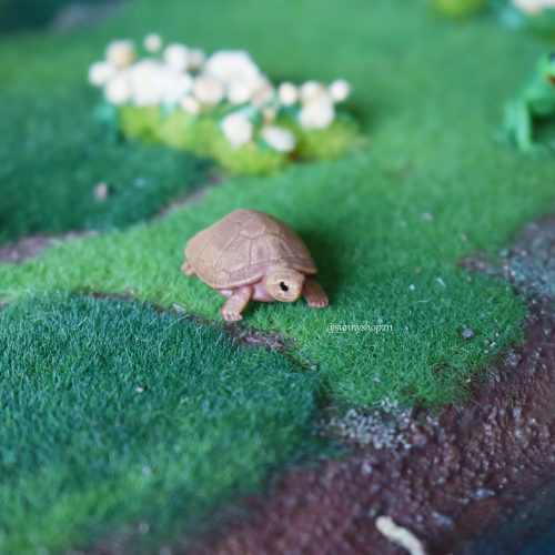 🐢 Tortue simulation miniature 1/6 • 1/4 • 1/3