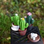 🌵 Cactus miniature fleuri – 3 modèles au choix – 1/6 · 1/4