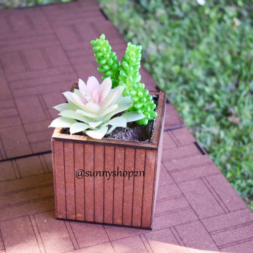 Bac de plantes miniatures – 1/6 · 1/4
